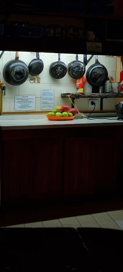 La Casa Del Arbol - Hostel El Bolsón Kültér fotó