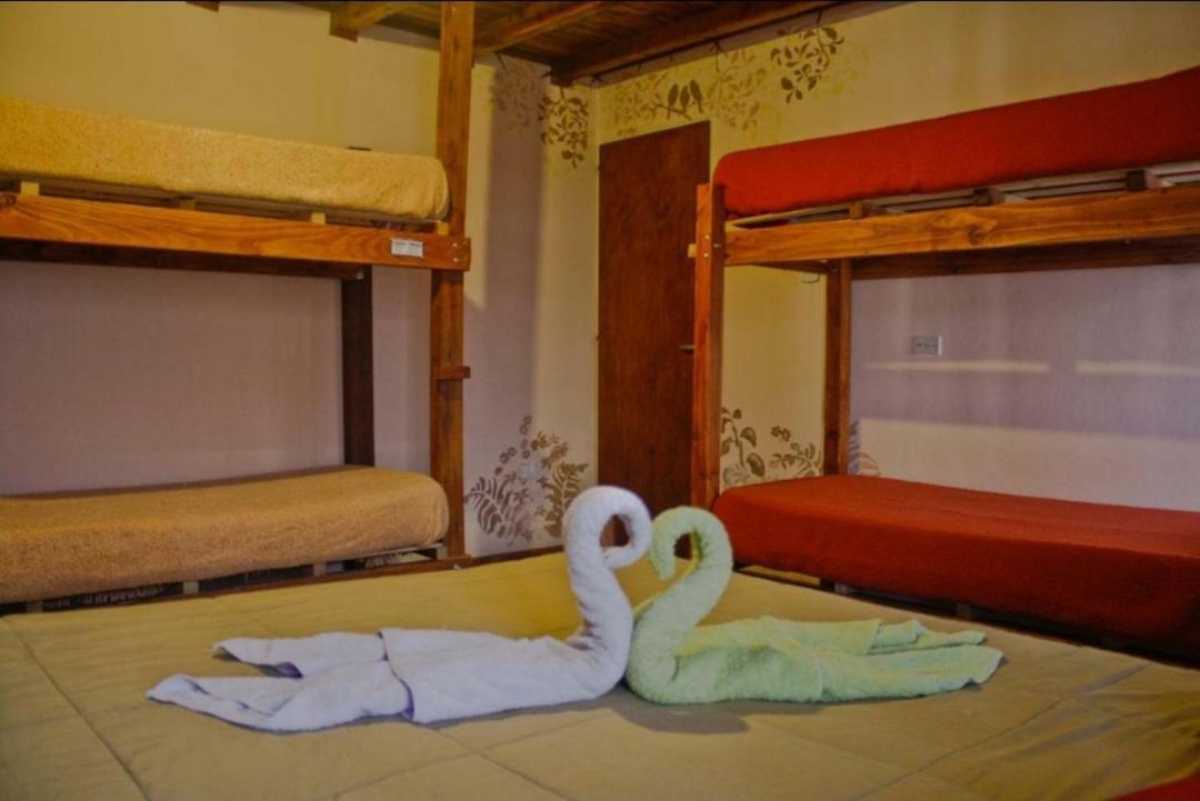 La Casa Del Arbol - Hostel El Bolsón Kültér fotó