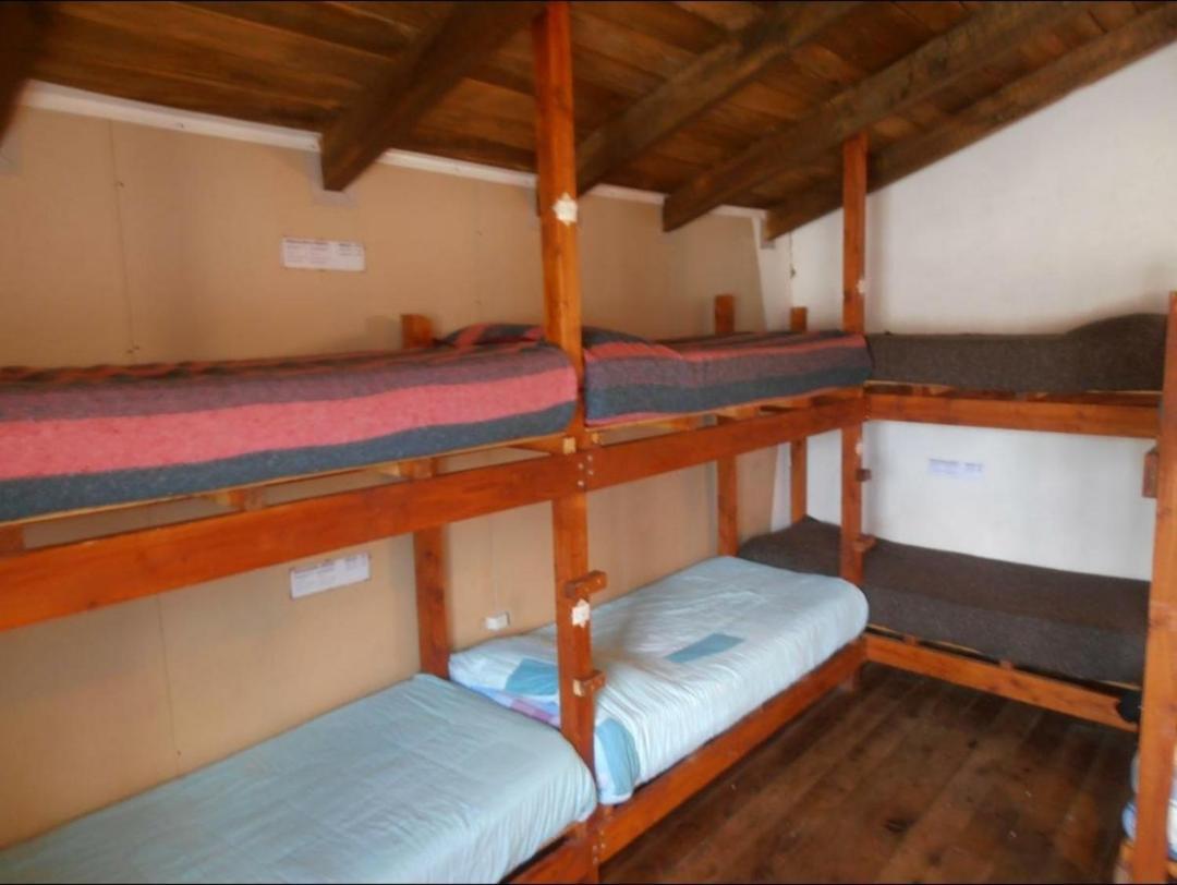 La Casa Del Arbol - Hostel El Bolsón Kültér fotó